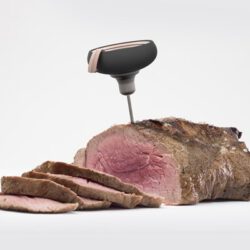 EVOLUTION_HOT STUFF_Braten mit Thermometer